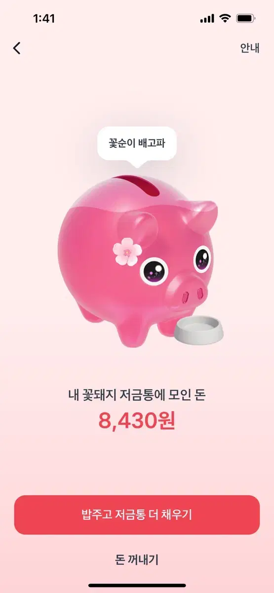 토스 꽃뙈지